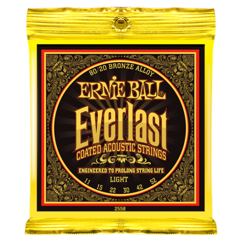 ERNIE BALL P02558